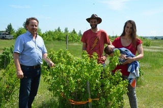 (Crédit photo : Guillaume Roy)