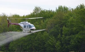 Pour des superficies plus grandes, l’hélicoptère est utilisé surtout sur les terres publiques. (Photo : Courtoisie Conseillers Forestiers Roy)